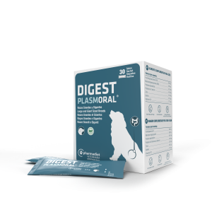 Digest Plasmoral Razas Pequeñas Y Medianas